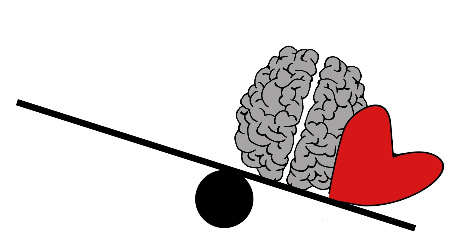 brain-2146159_1920