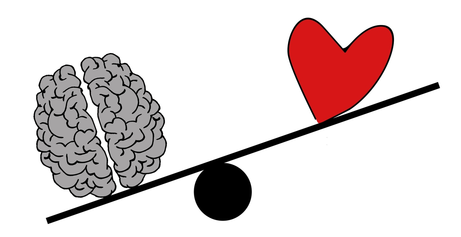brain-2146167_1920