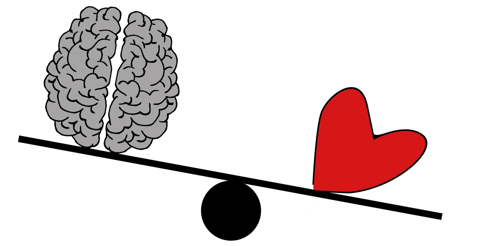 brain-2146168_1920